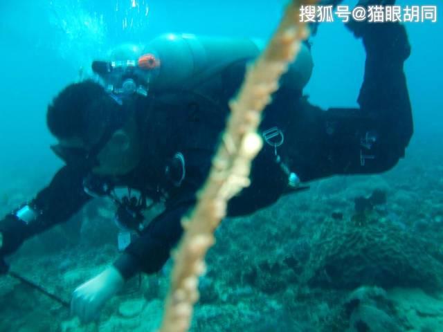 好闺蜜网名配对集锦游戏画面